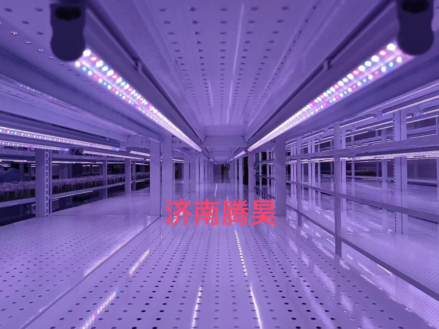 組培架，培養(yǎng)架，光照培養(yǎng)架，組培室設(shè)計(jì)，組培室無(wú)菌凈化